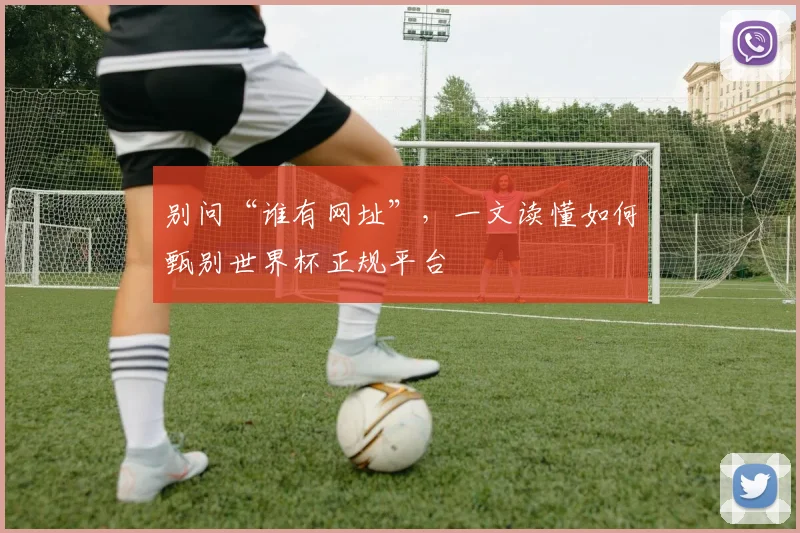 别问“谁有网址”，一文读懂如何甄别世界杯正规平台